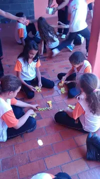 Sistema Novo Ensino - Imagem 2