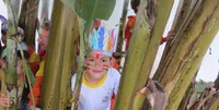 Escola Triunfo - Imagem 3