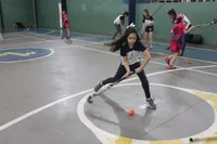 Escola Maestral - Imagem 1