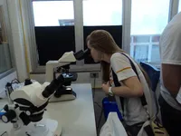 Instituto De Pesquisas Educacionais - Imagem 1