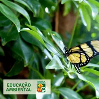 Escola De Educação Infantil Descobrindo A Vida - Imagem 3
