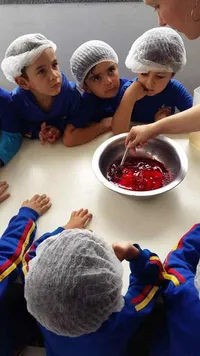Escola Terra Da Criança - Imagem 1