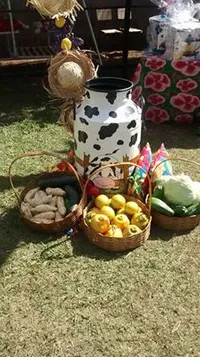 Centro Educacional Pé De Moleque - Imagem 1