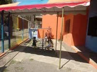 Primeiros Passos - Imagem 1