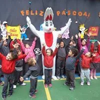 Centro Educacional Ribeiro Júnior - Imagem 3