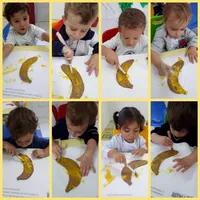 E E I Pinguim - Imagem 3