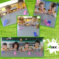Iec Campinas - Imagem 1