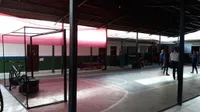 Escola Sementinha Feliz E Centro Educacional Almerinda Pinheiro - Imagem 3