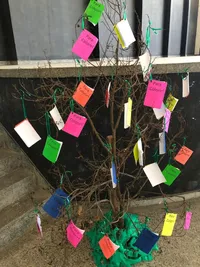 Centro Educacional Celia Rosa - Imagem 3