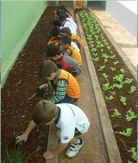 Educandário Cecília Meireles - Imagem 3