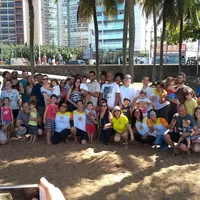 Cei Favo De Mel - Imagem 4