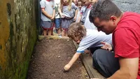 Centro Educacional Carrossel Encantado - Imagem 1