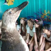 Escola Vovó Artiman - Imagem 2