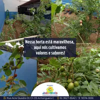 Educandário João E Maria - Imagem 3