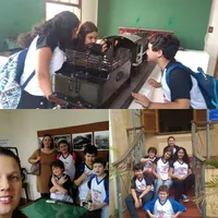 Colégio Único - Imagem 2