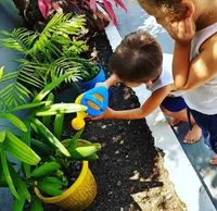 Escola De Educação Infantil Caracol - Imagem 2