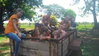 Colégio Doce Mel - Imagem 1