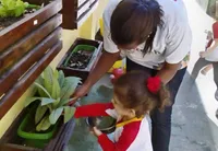 Daltrinho Taquara - Rede Daltro Educacional - Imagem 2