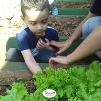 Colégio Modelo De Educação Infantil E Ensino Fundamental De Franca - Imagem 1