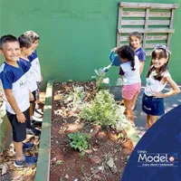 Colégio Modelo De Educação Infantil E Ensino Fundamental De Franca - Imagem 3