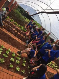 Colégio Educar Londrina - Imagem 1