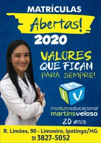 Instituto Educacional Martins Veloso - Imagem 1
