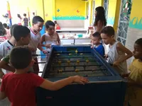 Instituto Educar Para Crescer - Imagem 1