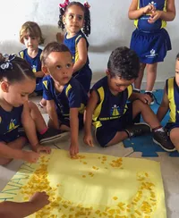 Escola Aluno Exemplar - Imagem 3