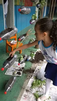 Escola Aluno Exemplar - Imagem 2