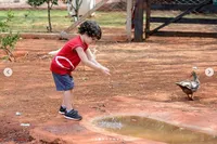 Escola Cristã De Trindade - Imagem 3
