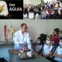 Colégio Águia Unidade I - Imagem 3
