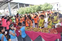 Universidade Infantil Higor Almeida - Imagem 3