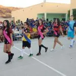 Instituto De Ensino Satiro Siebra - Iess - Imagem 1