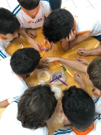Colégio Pgd - Imagem 1