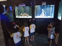 Colégio Casinha Amarela - Imagem 3