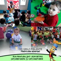 Cei Grilo Falante - Imagem 3