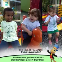 Cei Grilo Falante - Imagem 1