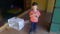 Colégio São Rafael - Imagem 3