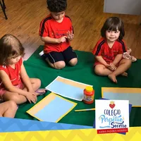 Colégio Nossa Senhora Do Perpétuo Socorro - Imagem 2