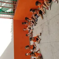 Escola Rei Leão - Imagem 1