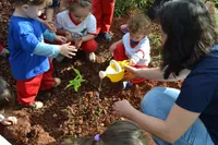 Sitio Escola - Imagem 4