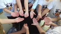 Escola Infantil Turma Do Mickey - Imagem 3