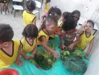 Escola Ursinho Panda - Imagem 3