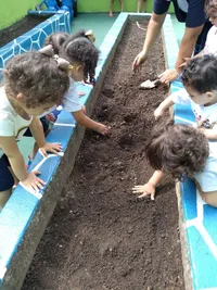 Escola Educação Infantil Alfaletrando - Imagem 2