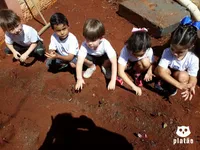 Colégio Platão De Apucarana - Imagem 3