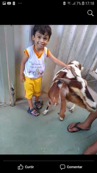 Escola E Hotelzinho Dádiva De Deus - Imagem 3