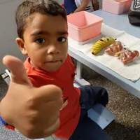 Escola Pingo De Gente - Imagem 3