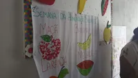 Escolinha Semeando Saber - Imagem 2