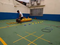 Escola Linear - Imagem 3