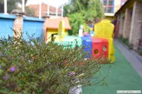 Colégio Multi – Vila Matilde - Imagem 3